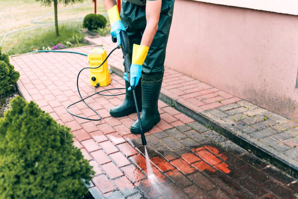 Best Roof Pressure Washing  in Kalida, OH